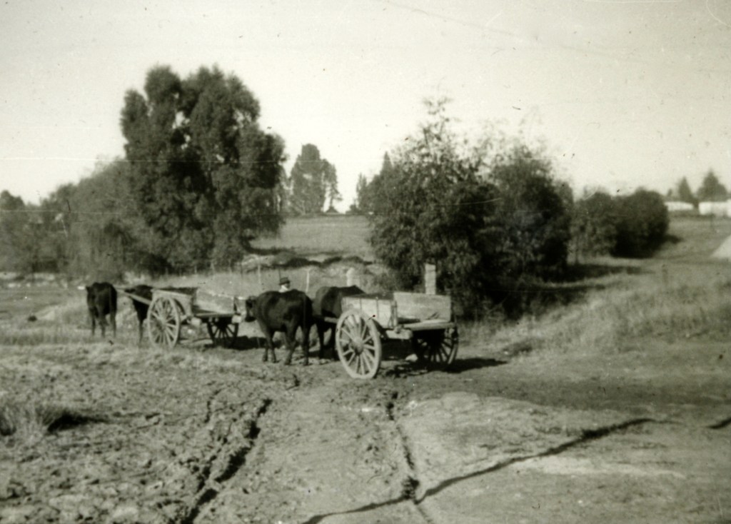 This timeless rural scene re-acted countless times in countless locations around the world; Free State, South Africa