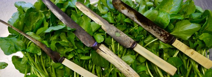 A Year in the Chilterns