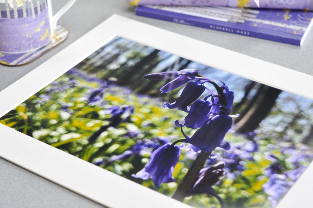 Chilterns Gifts spring range