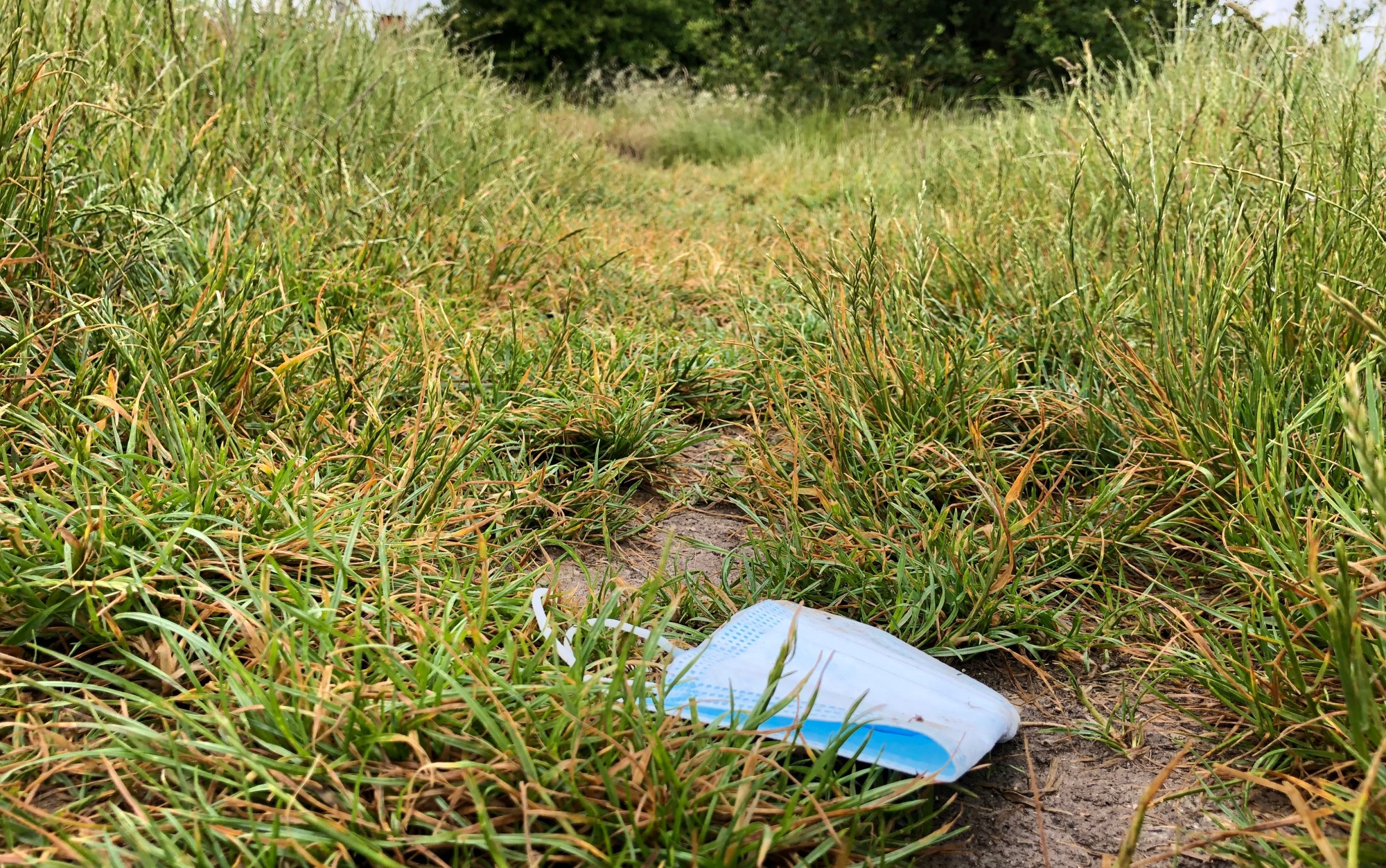 12 months and 12 Covid-related images